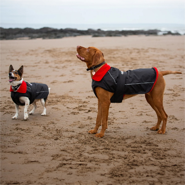 2026 Dryrobe Dog Coat V3DRDC - Black / Red